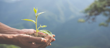 Lead The Scene And Go Green! - Signa