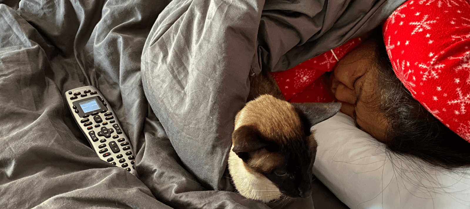 Lazy Sunday morning on a long weekend - Signa