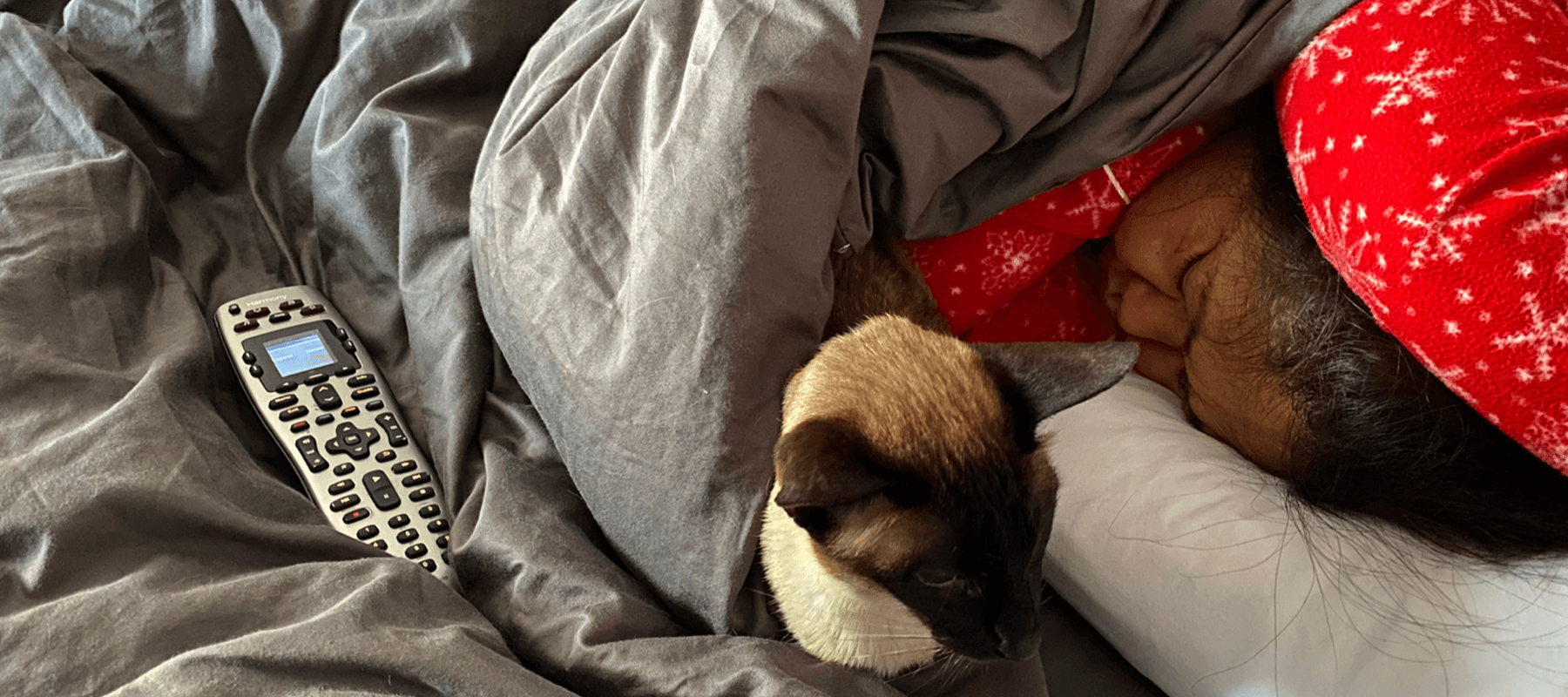 Lazy Sunday morning on a long weekend - Signa