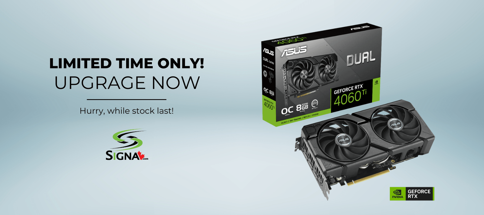 Asus Dual GeForce RTX 4060 - Signa's Promo!
