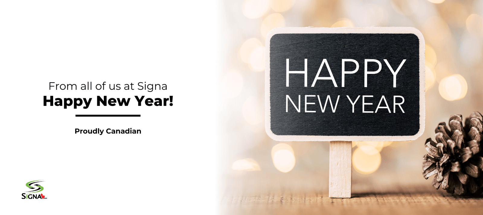 Welcoming the New Year with Signa