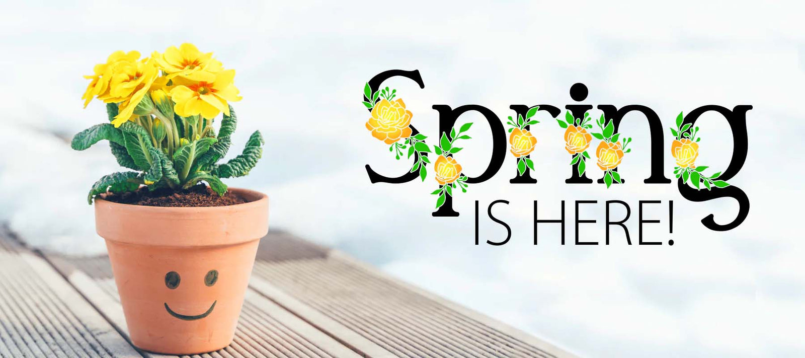 Spring is Here!