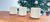 We replace a lot of Google Mesh systems...