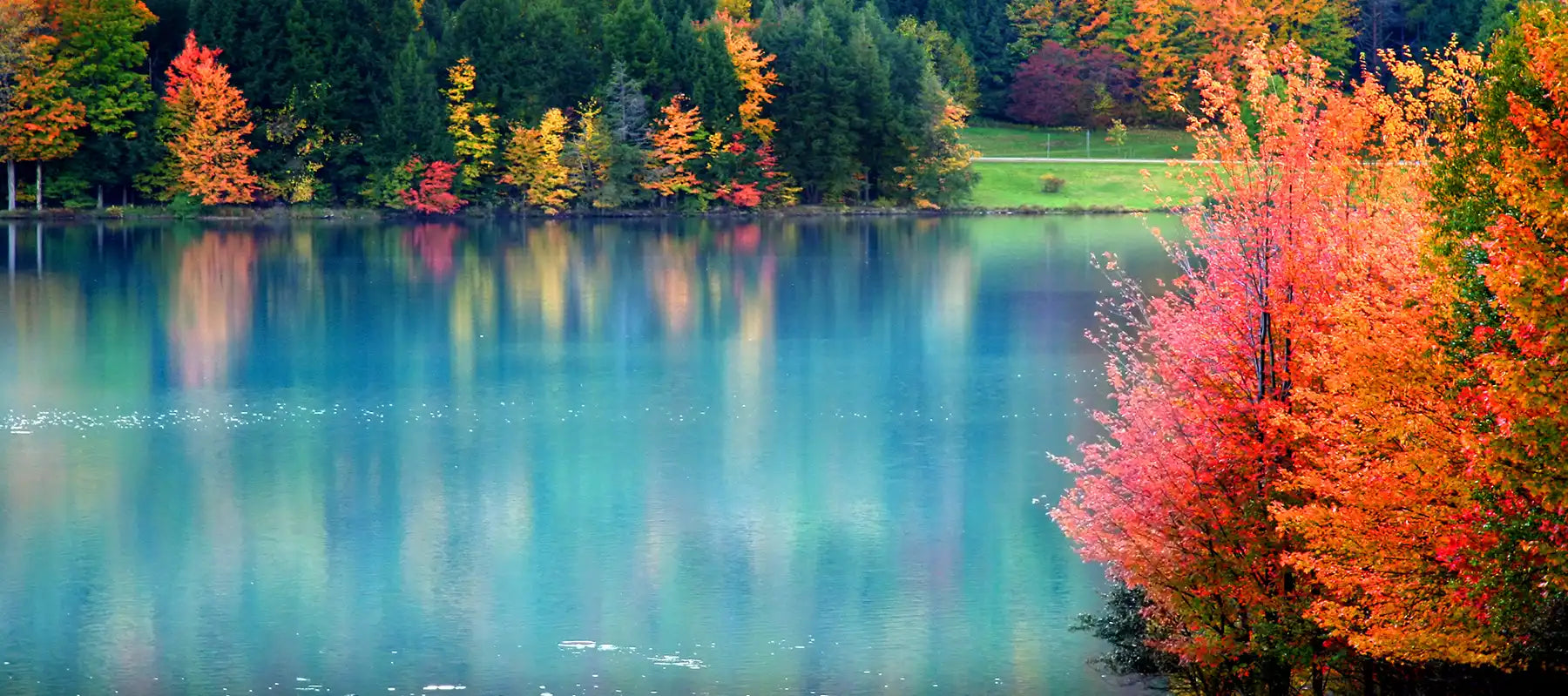 End Of Summer & In To Fall - We Will Miss You Summer 2022!