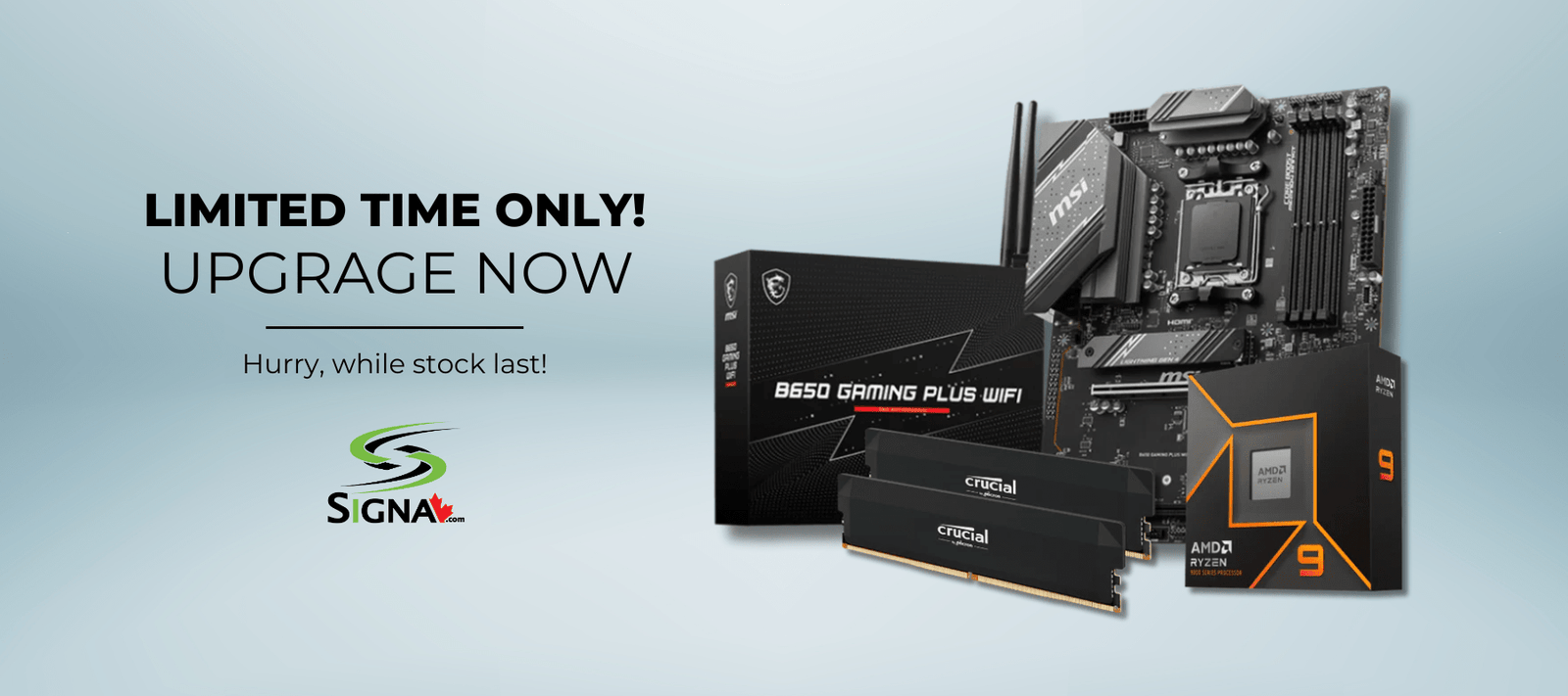 AMD Ryzen 9 9900X & 32GB Memory Combo - Signa