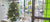 Storefront christmas computer display yonge street toronto ontario store near me