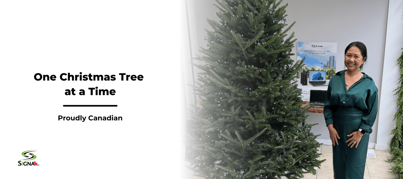 Hanging In There, One Christmas Tree at a Time - Signa