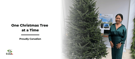 Hanging In There, One Christmas Tree at a Time - Signa