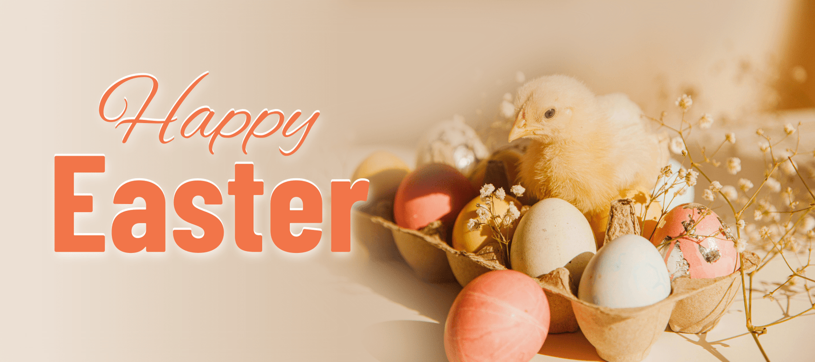 Happy Easter Everyone! - Signa
