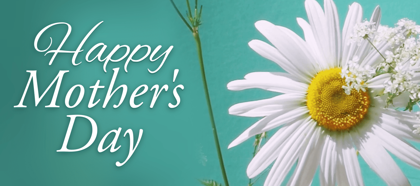 Happy Mother's Day! - Signa