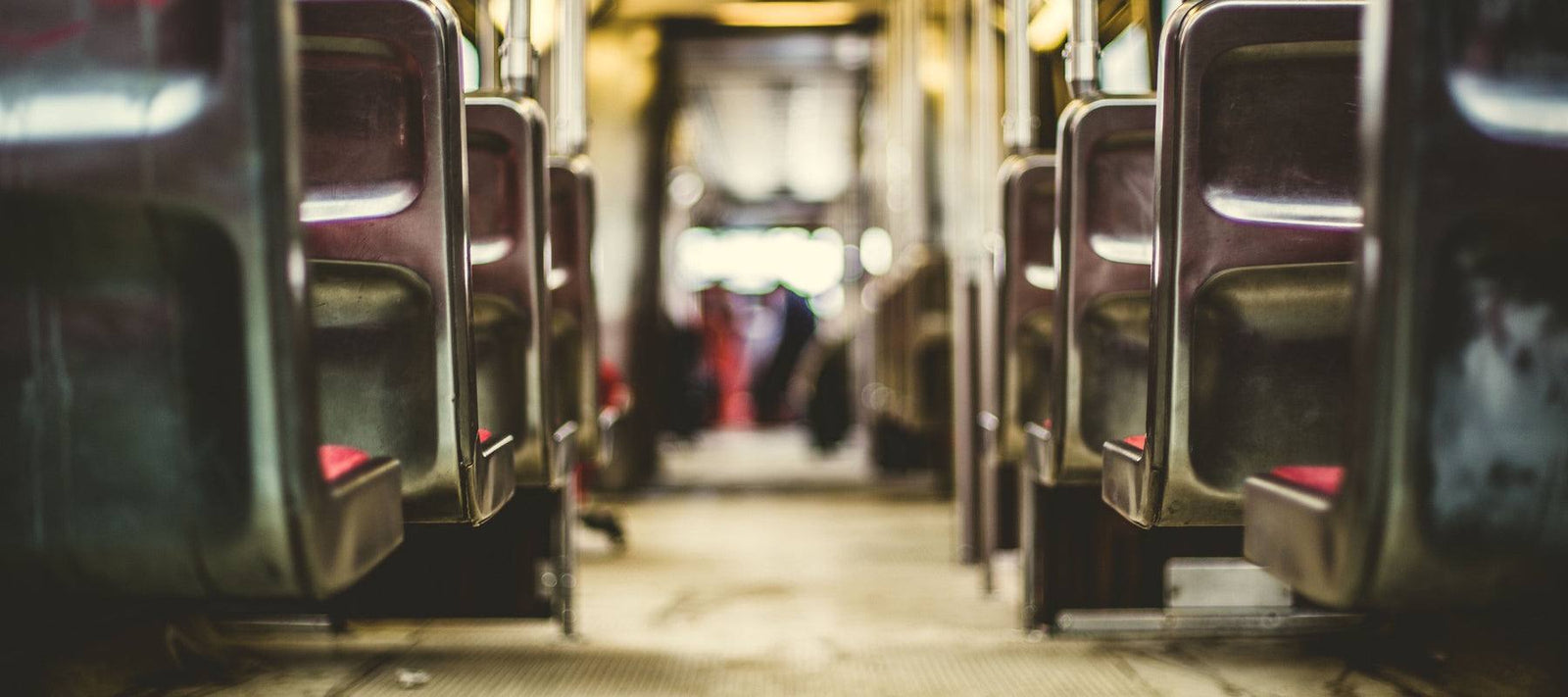 Happy National Rosa Parks Day! - Signa