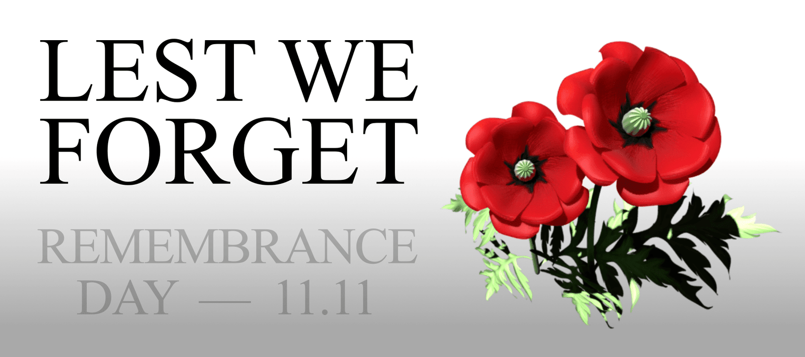 Honouring Remembrance Day: A Time to Reflect and Remember - Signa