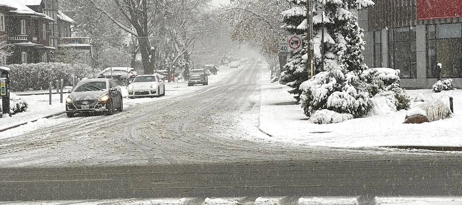 Last Winter Blast For Spring 2024 - A Bit Of Fun Without The Sun! - Signa