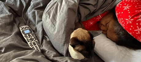 Lazy Sunday morning on a long weekend - Signa