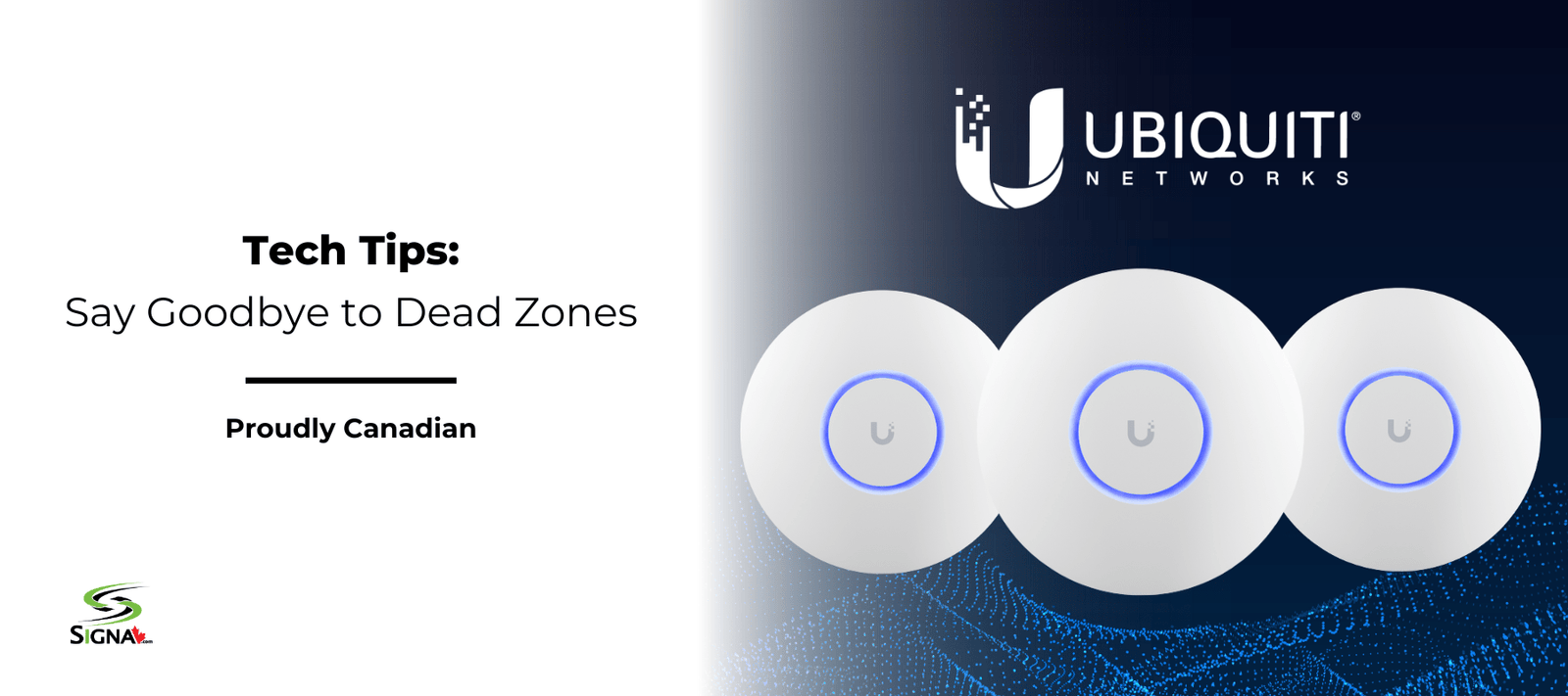 Say Goodbye to Dead Zones: How to Fix Weak Wi-Fi at Home or Work - Signa