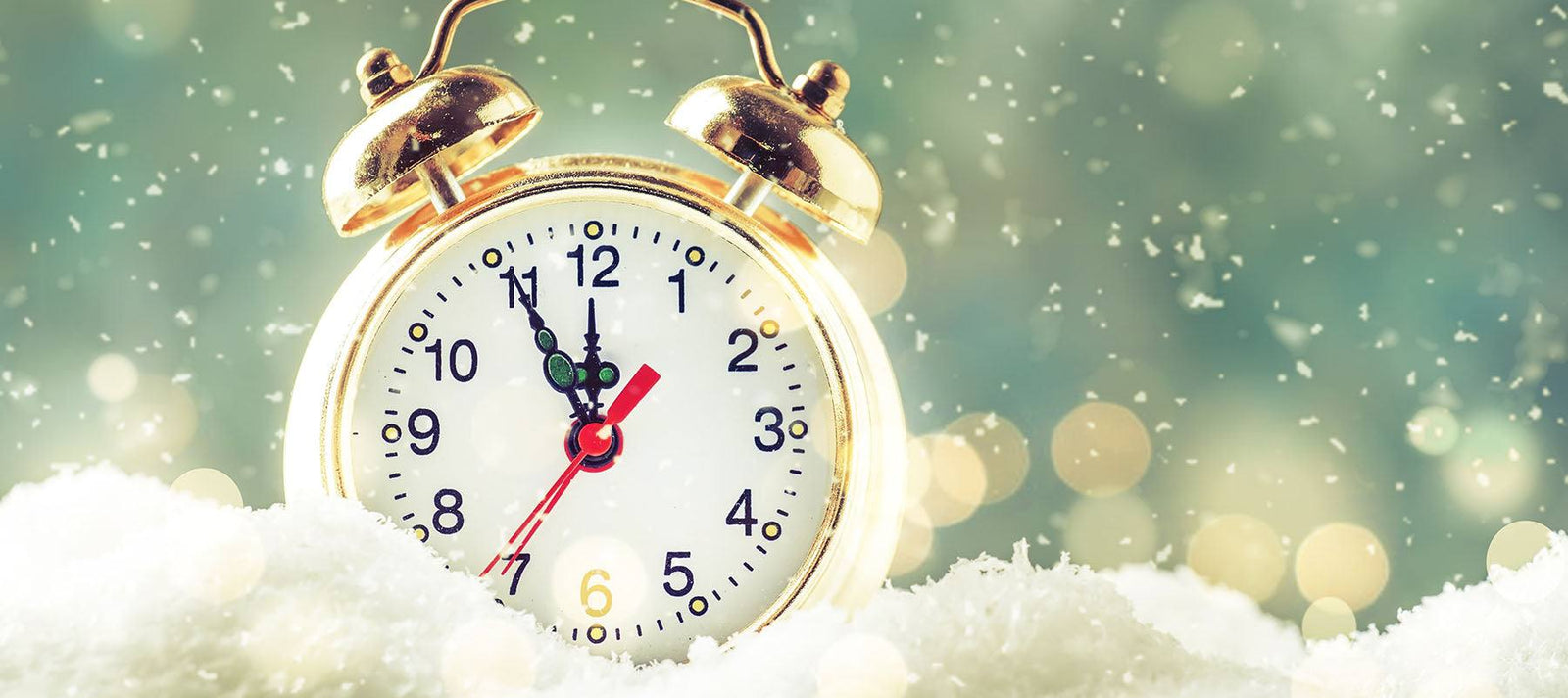 🎄Season's Greetings & Holiday Hours From The Staff at Signa🎄 - Signa
