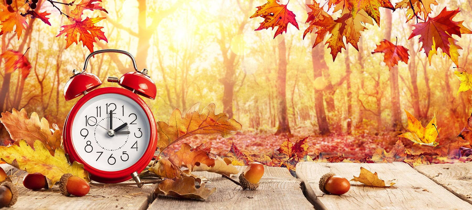 Set Your Clocks Back Tonight! - Signa
