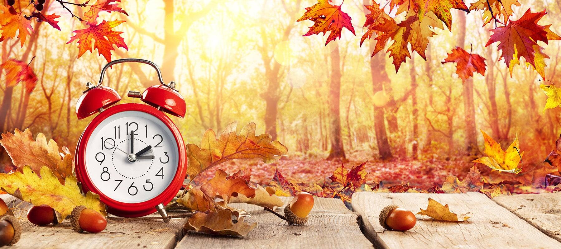 Set Your Clocks Back Tonight! - Signa