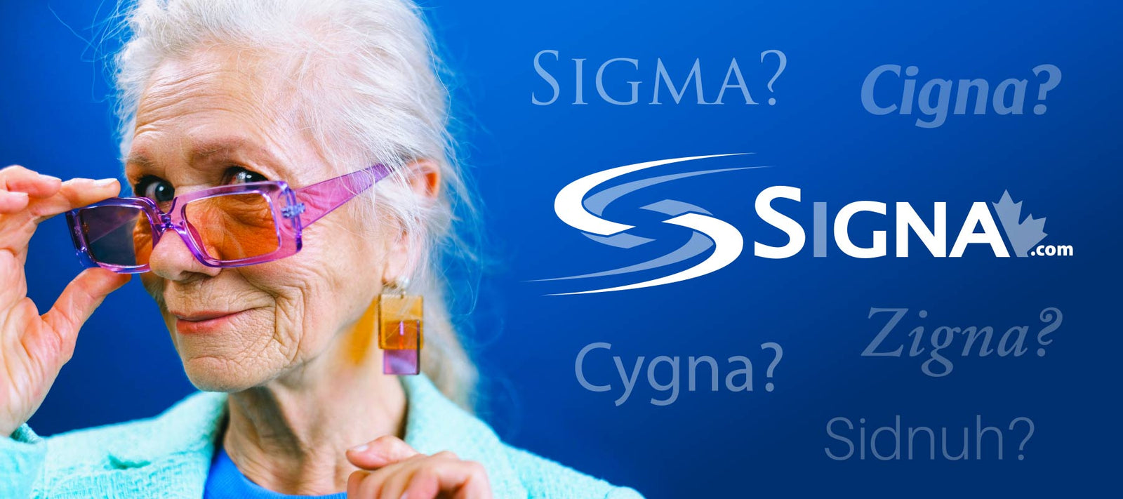 SiGMA Computer Systems: Embracing Our Name's Quirkiness - Signa