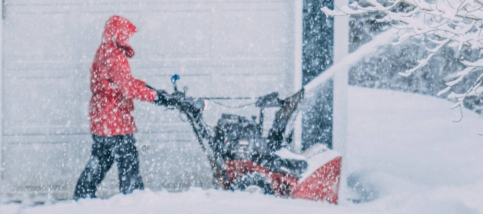 Snow Day Today — Closed for Curb-side Pickup/DropOff ☃️ - Signa
