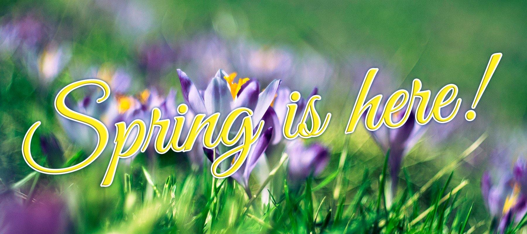 Spring Is Here and We're So Excited! - Signa