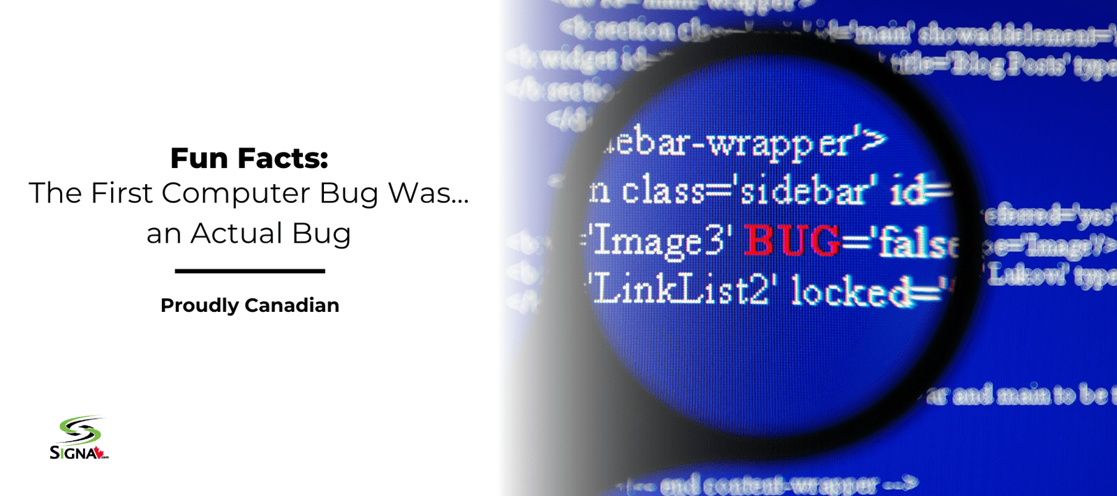 The First Computer Bug Was… an Actual Bug - Signa