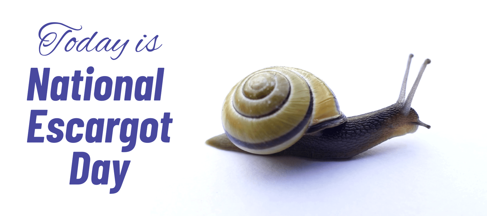 Today is National Escargot Day - Signa