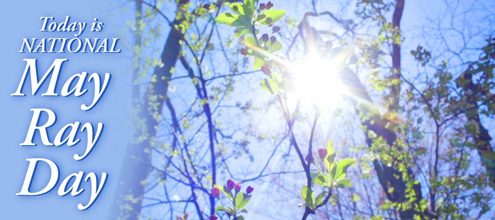 Today is National May Ray Day - Signa