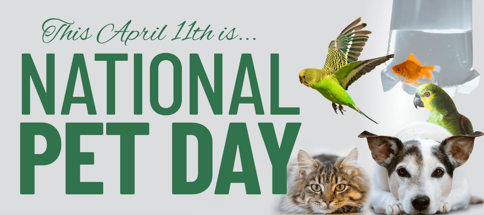 Today is National Pet Day - Signa