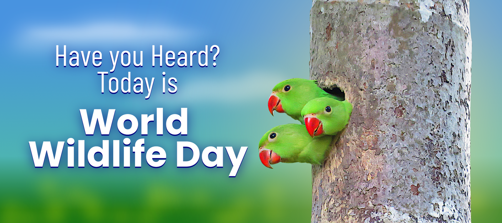 Today is World Wildlife Day - Signa