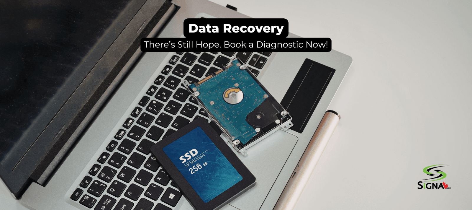 Trusted Data Recovery Experts Helping Torontonians Since 1993! - Signa