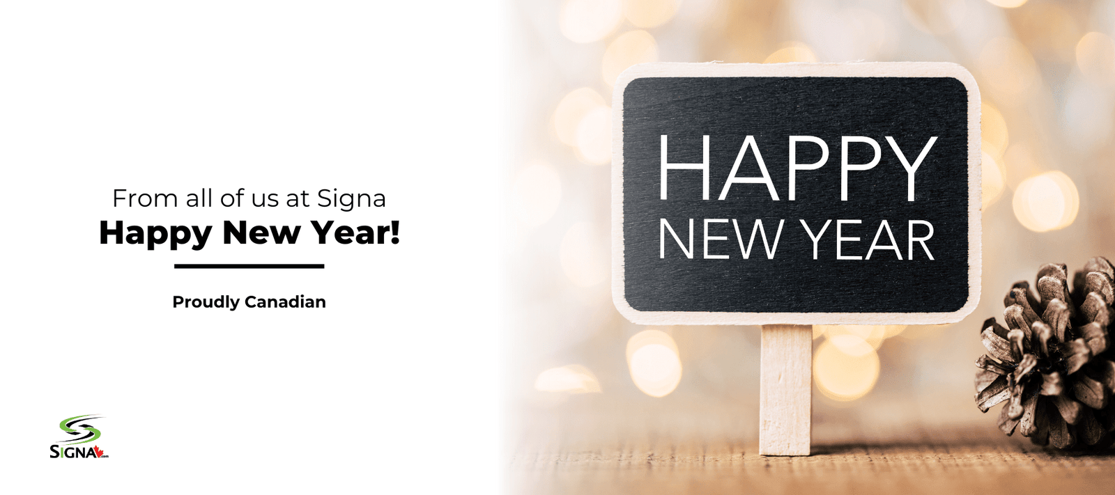 Welcoming the New Year with Signa - Signa