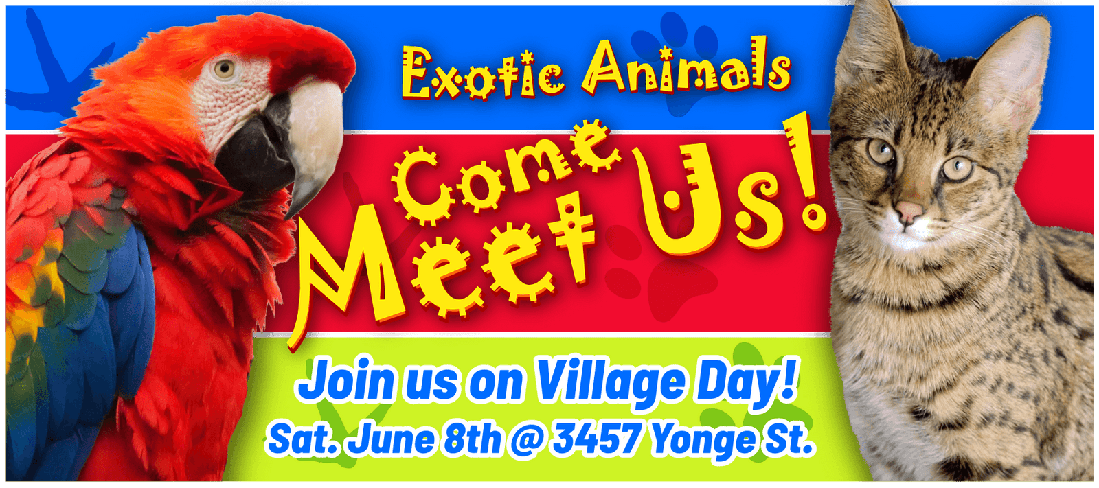 What to do in Toronto this Saturday June 8th, 2019 - Signa