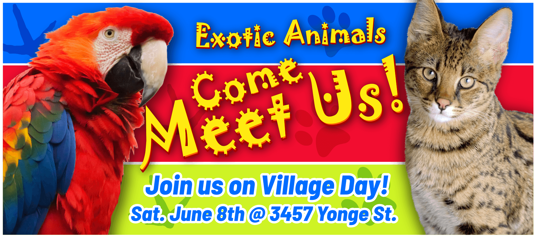 What to do in Toronto this Saturday June 8th, 2019 - Signa