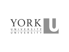 York University