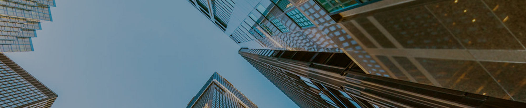 Signa offers IT & Computer Consulting Services & support for businesses