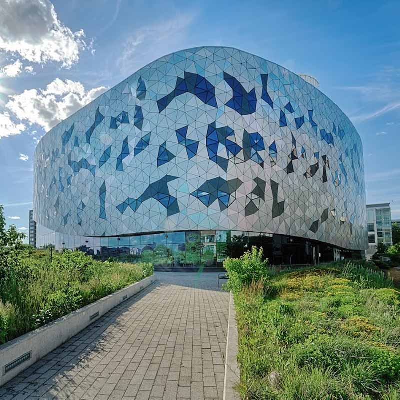 York University